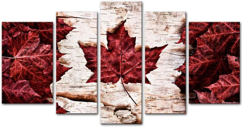 5 Pieces Modern Canvas Painting Wall Art  Flag Of Canada Constructed Of Maple Leaves White Birch Bark Country Symbol
